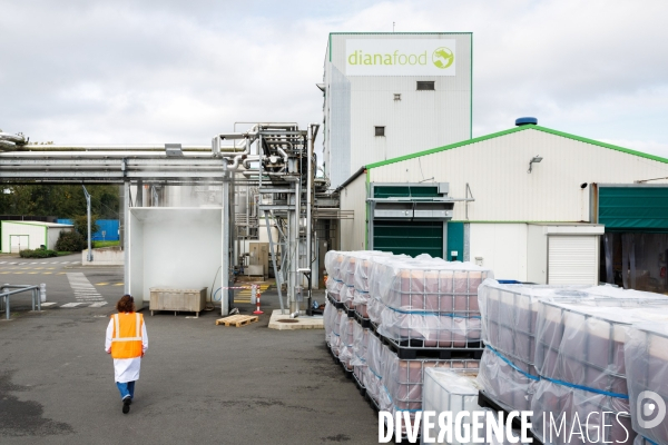 Site industriel de transformation agroalimentaire