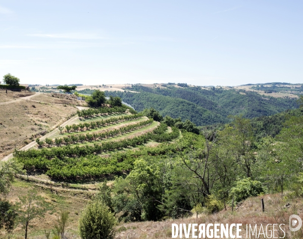 Bassines et retenues - ARDECHE