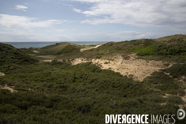 Ils et elles sauvent la vie des exilés naufragés.