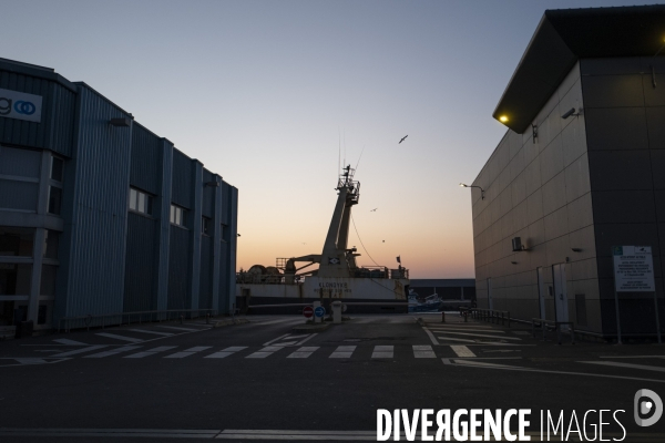 Ils et elles sauvent la vie des exilés naufragés.