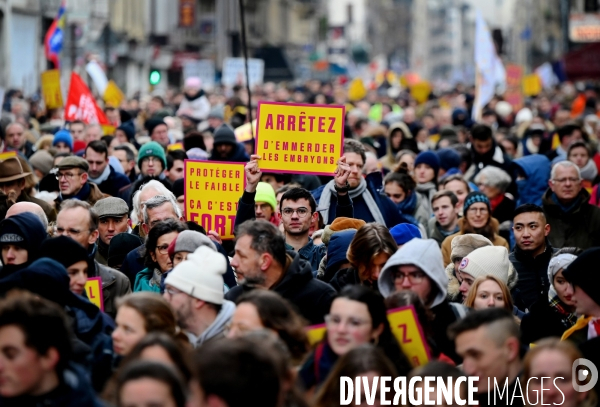 La marche pour la vie