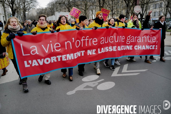 La marche pour la vie