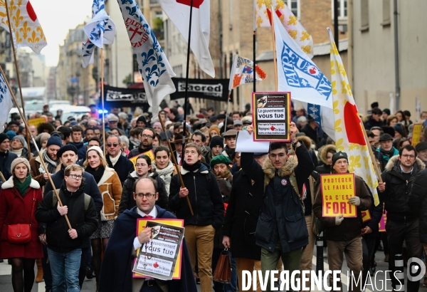 La marche pour la vie