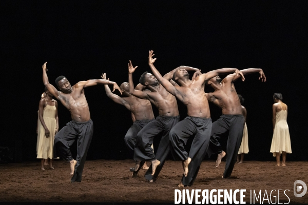 Le sacre du printemps de pina bausch