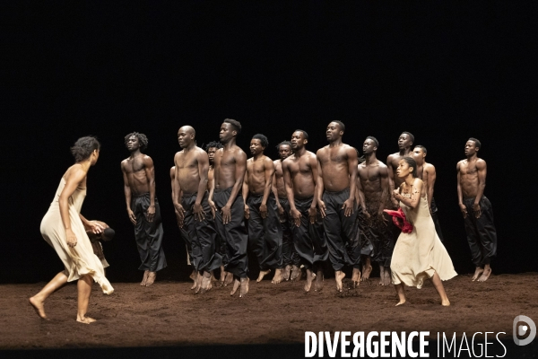 Le sacre du printemps de pina bausch