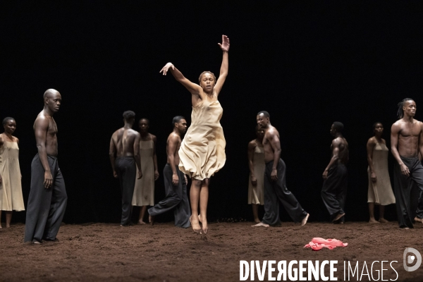 Le sacre du printemps de pina bausch