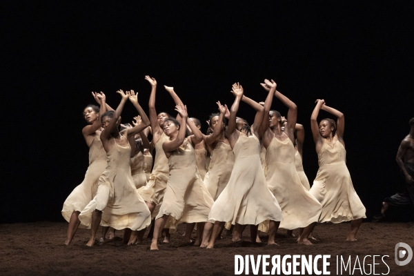 Le sacre du printemps de pina bausch