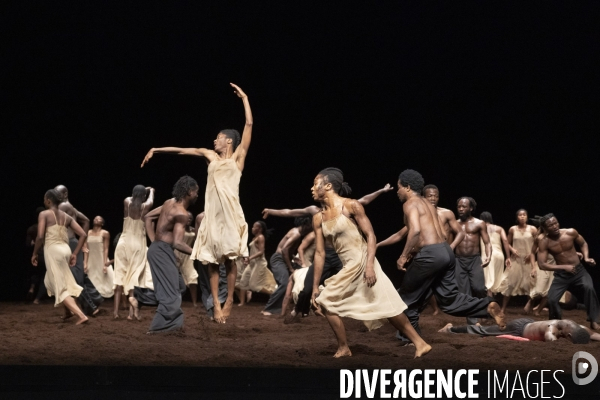 Le sacre du printemps de pina bausch