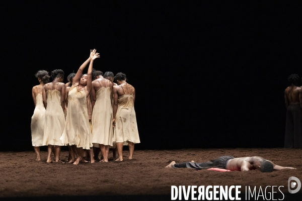 Le sacre du printemps de pina bausch