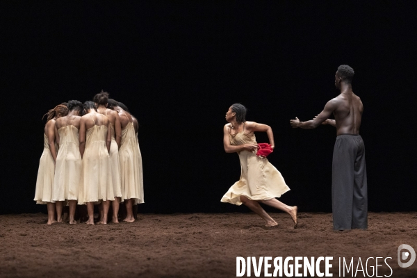 Le sacre du printemps de pina bausch