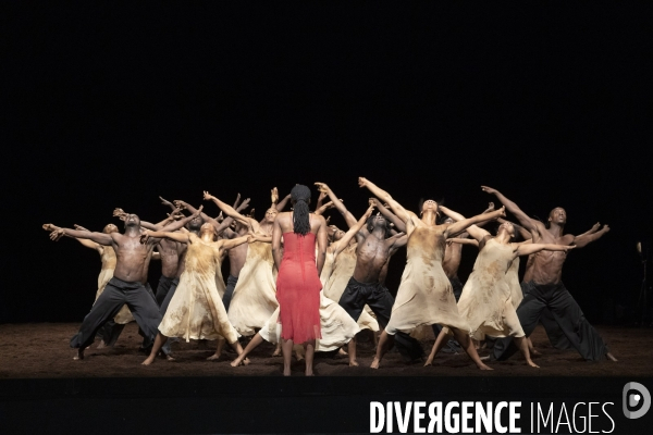 Le sacre du printemps de pina bausch