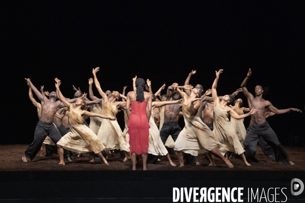 Le sacre du printemps de pina bausch