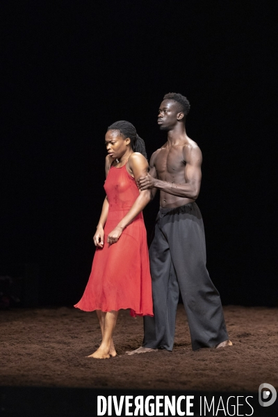 Le sacre du printemps de pina bausch