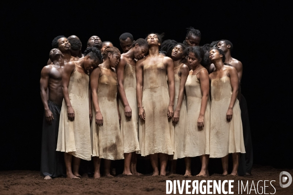 Le sacre du printemps de pina bausch