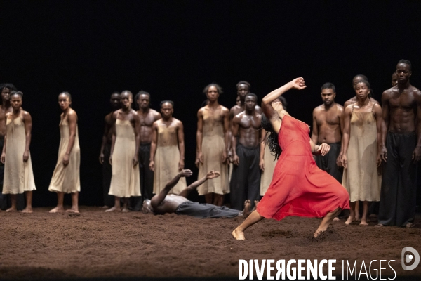 Le sacre du printemps de pina bausch