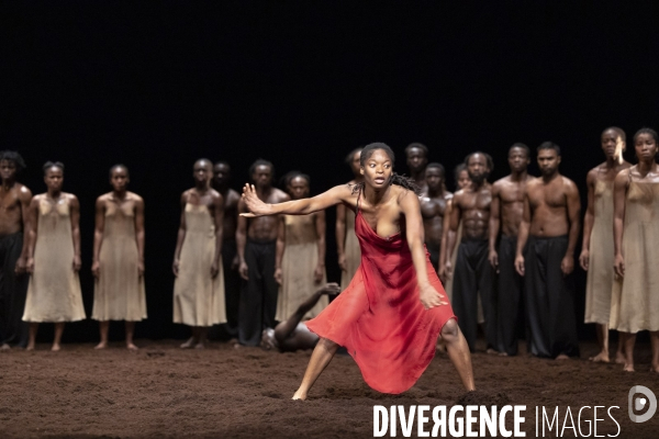 Le sacre du printemps de pina bausch