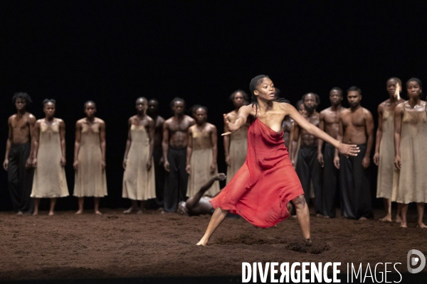 Le sacre du printemps de pina bausch