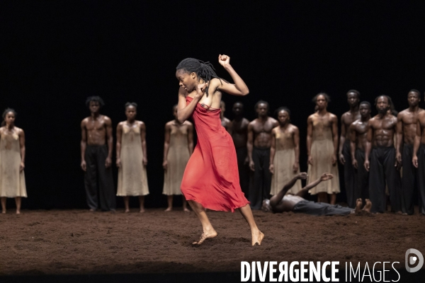 Le sacre du printemps de pina bausch