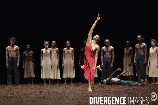 Le sacre du printemps de pina bausch