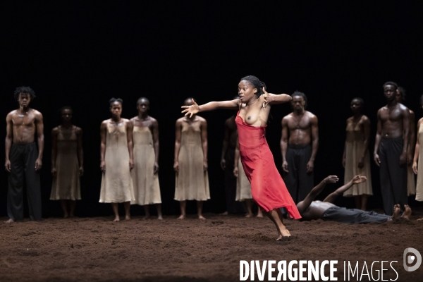 Le sacre du printemps de pina bausch