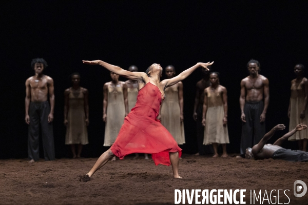 Le sacre du printemps de pina bausch