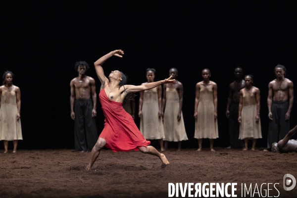 Le sacre du printemps de pina bausch
