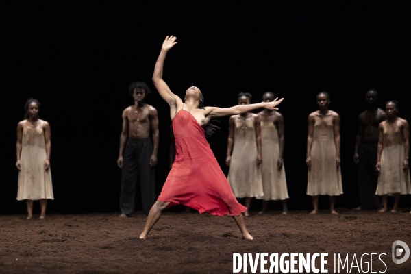 Le sacre du printemps de pina bausch