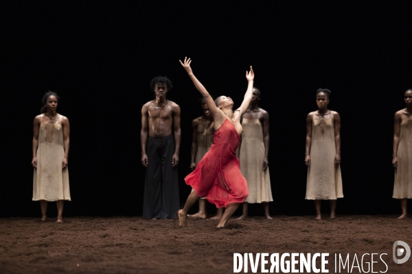 Le sacre du printemps de pina bausch