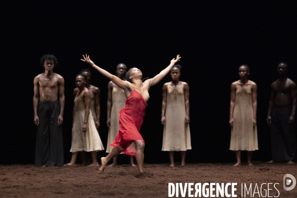 Le sacre du printemps de pina bausch