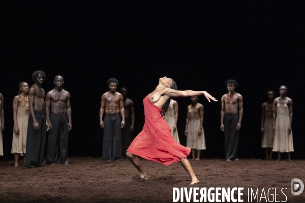 Le sacre du printemps de pina bausch