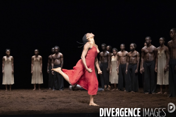 Le sacre du printemps de pina bausch