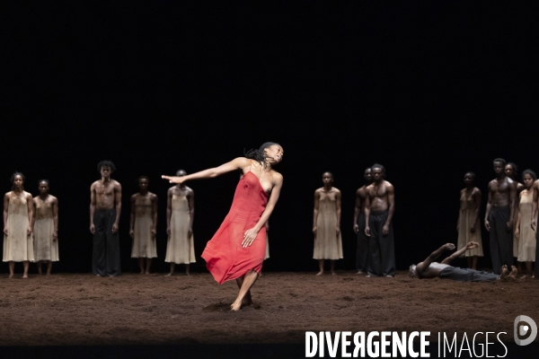 Le sacre du printemps de pina bausch