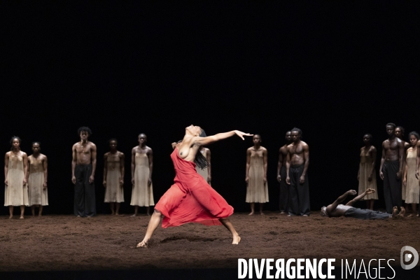 Le sacre du printemps de pina bausch