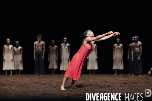 Le sacre du printemps de pina bausch