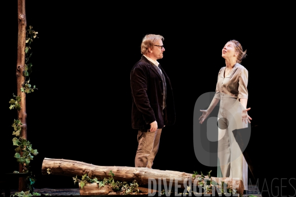 La dame de la mer / Ibsen / Géraldine Martineau / Comédie Française