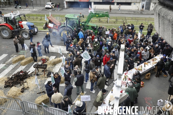 Rassemblement de viticulteurs à Bordeaux