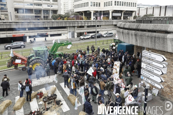 Rassemblement de viticulteurs à Bordeaux