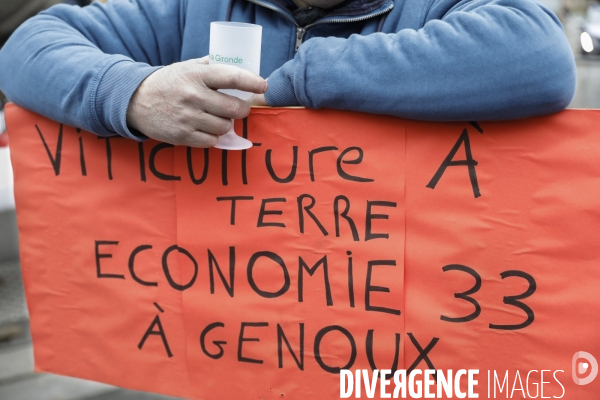 Rassemblement de viticulteurs à Bordeaux