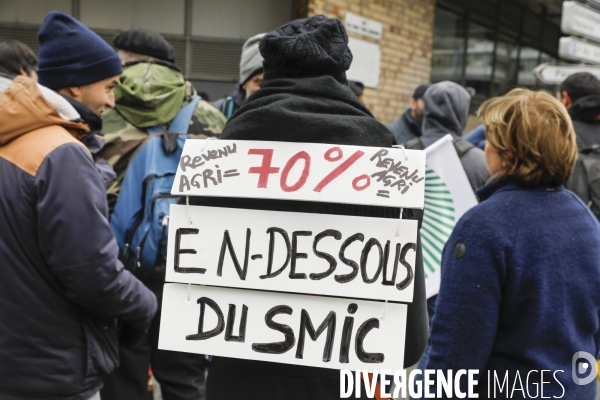 Rassemblement de viticulteurs à Bordeaux