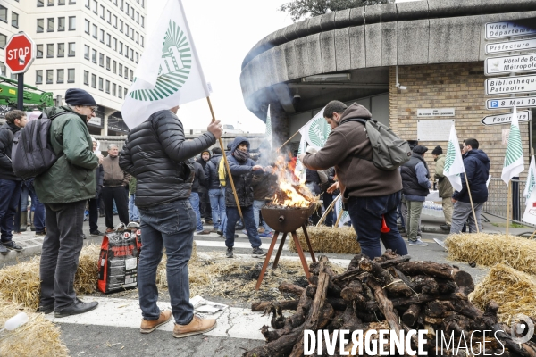 Rassemblement de viticulteurs à Bordeaux