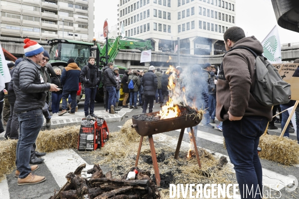 Rassemblement de viticulteurs à Bordeaux