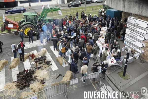 Rassemblement de viticulteurs à Bordeaux
