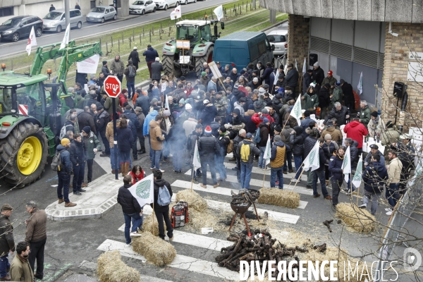 Rassemblement de viticulteurs à Bordeaux