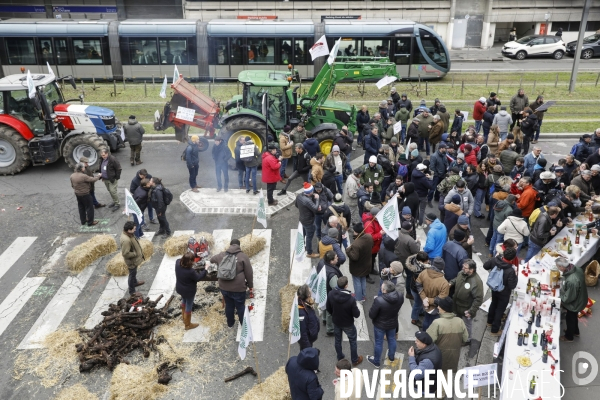 Rassemblement de viticulteurs à Bordeaux