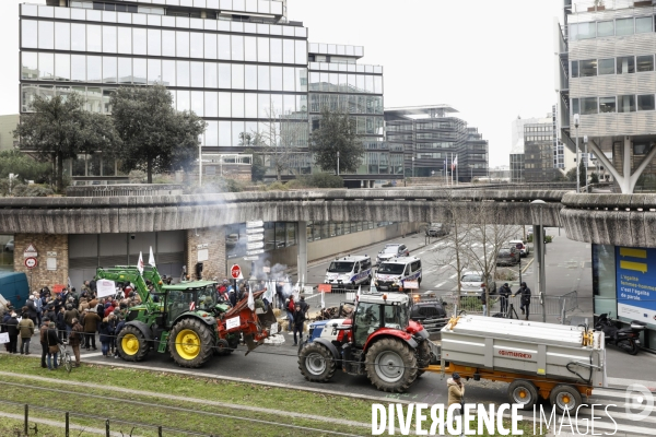 Rassemblement de viticulteurs à Bordeaux