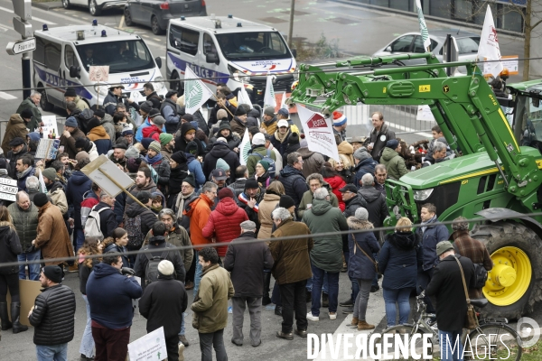 Rassemblement de viticulteurs à Bordeaux