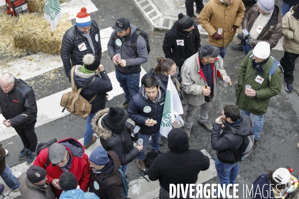 Rassemblement de viticulteurs à Bordeaux