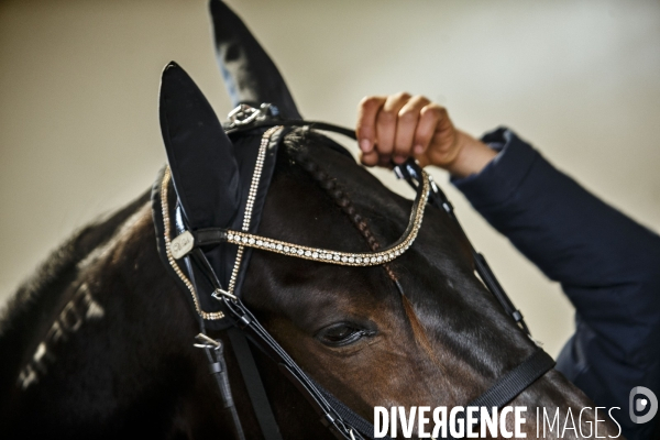 Prix d Amérique 2023