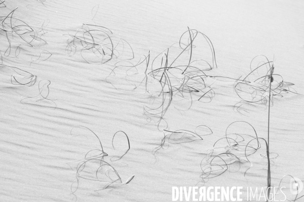 Outer banks, érosion des dunes.