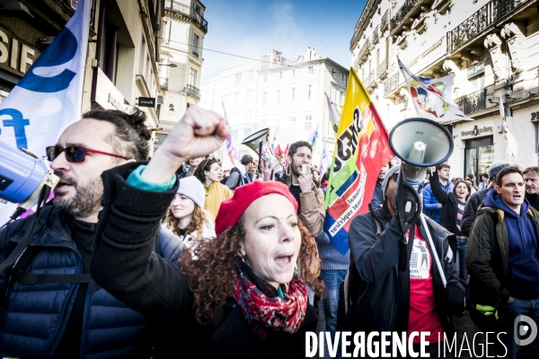 Montpellier - 2eme Manifestation contre la Reforme des Retraites